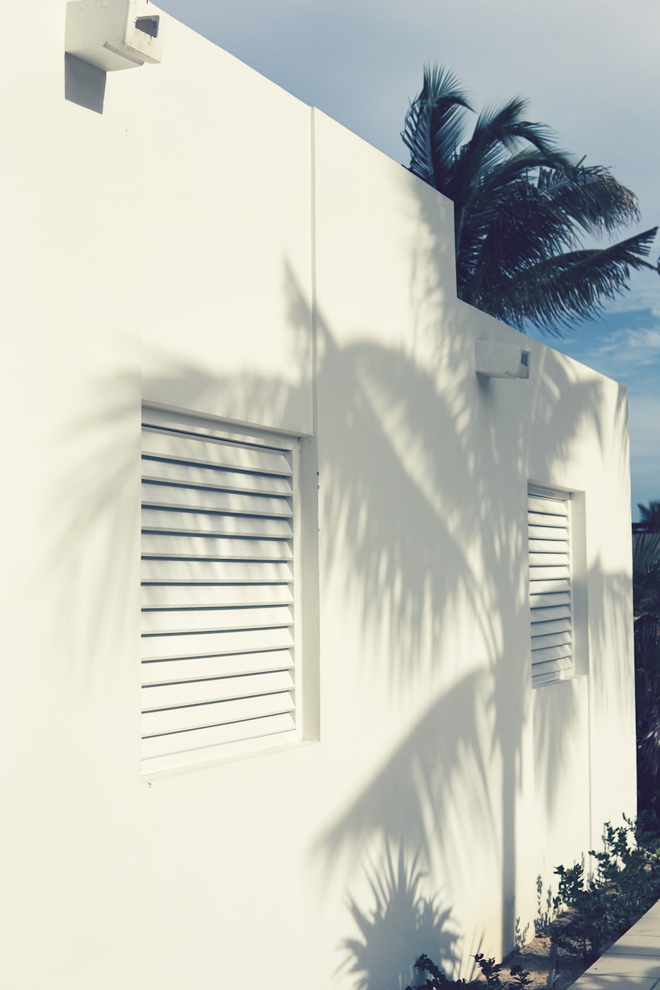 广州酒家股票实时行情深度解析与最新动态关注