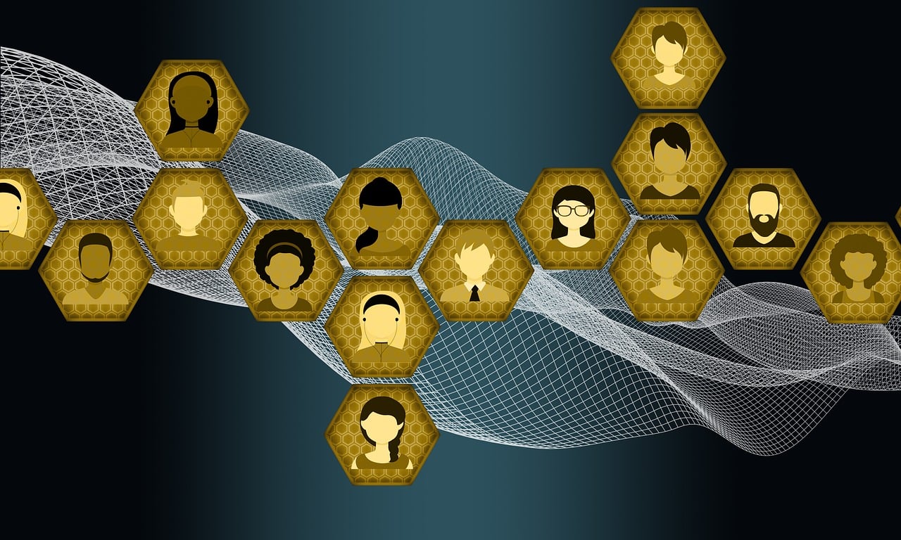 最新人人网动态，社交网络持续发展及用户互动新趋势