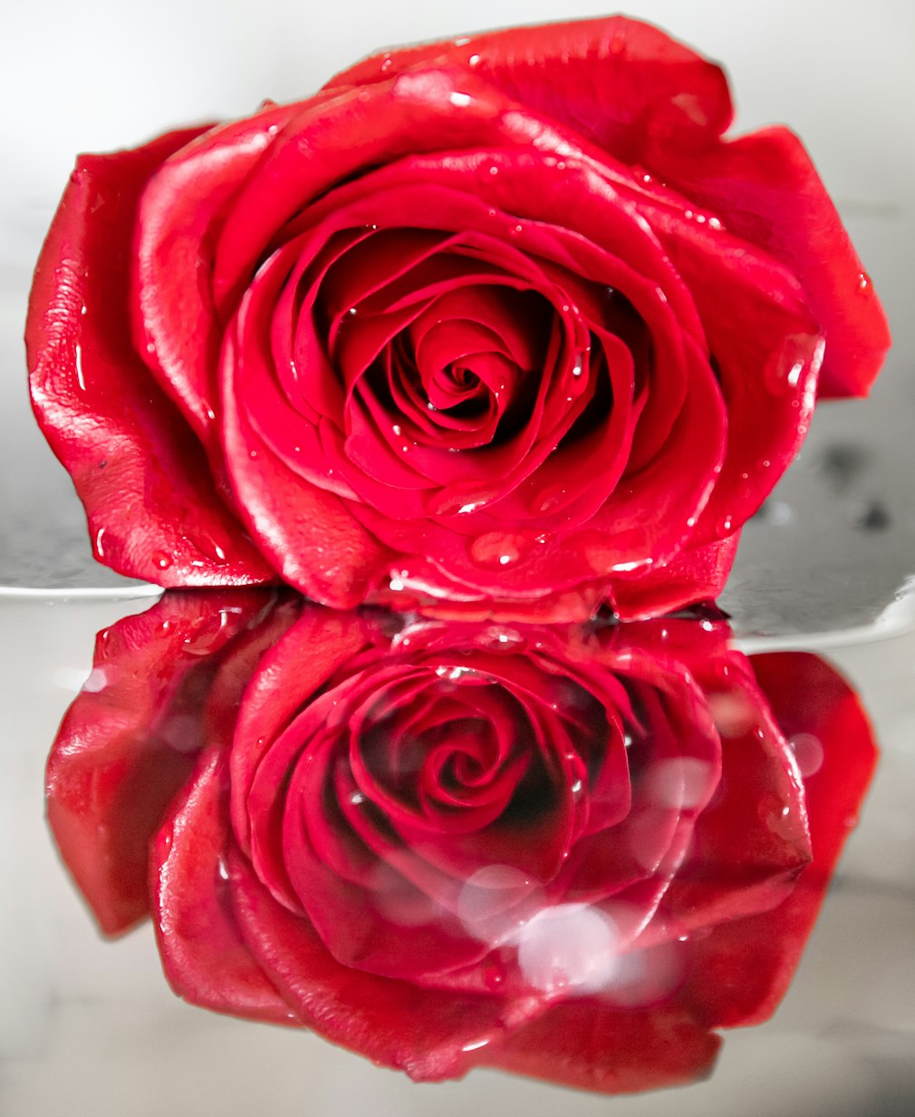 记得善良 第4页