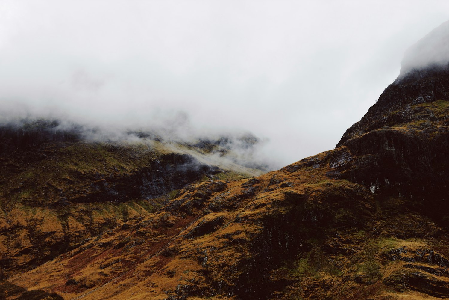 韩可露最新动态与魅力风采展示