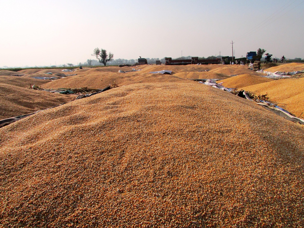 工业生产者购进价格指数揭示生产成本动态变化分析