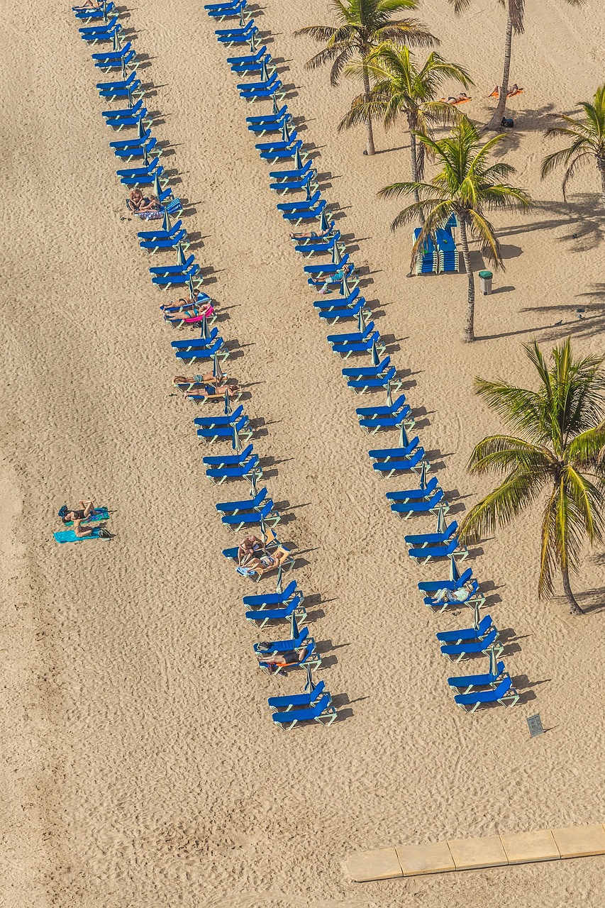 全球关注下的太平洋地震动态，最新资讯与应对策略