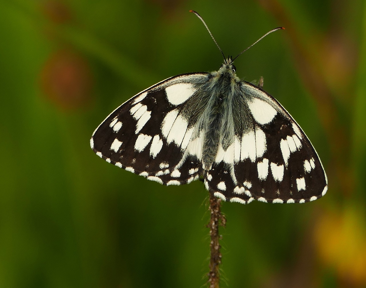 昕阳瑶瑶 第4页