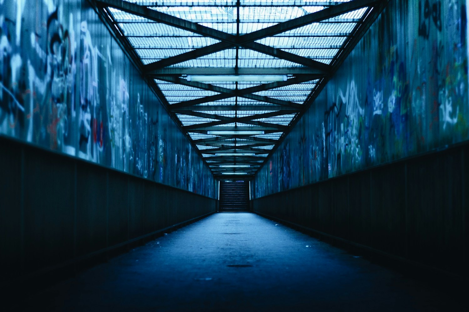 骨头案最新进展揭示真相，司法之光照亮黑暗角落的真相探索