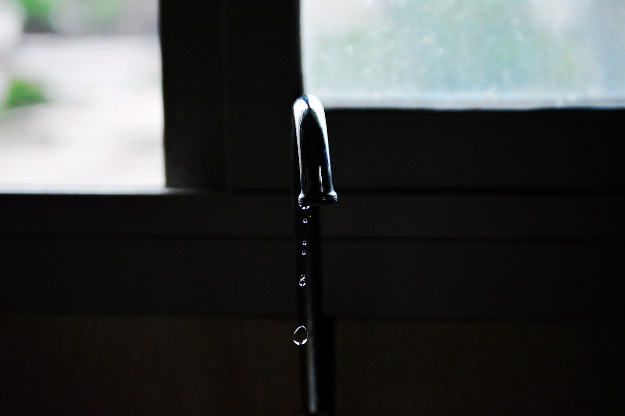 稀量币最新动态,数字货币新领域的探索与资讯更新