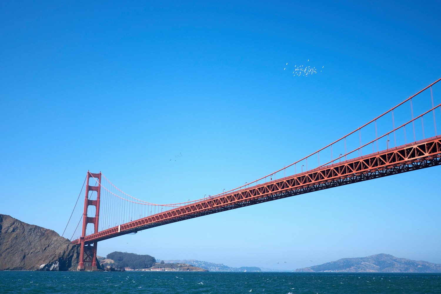 最新交友网站，全球连接的桥梁