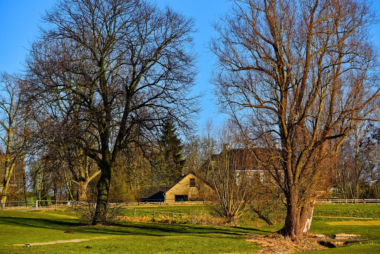 小草坝最新进展，迈向生态繁荣与可持续未来的坚定步伐
