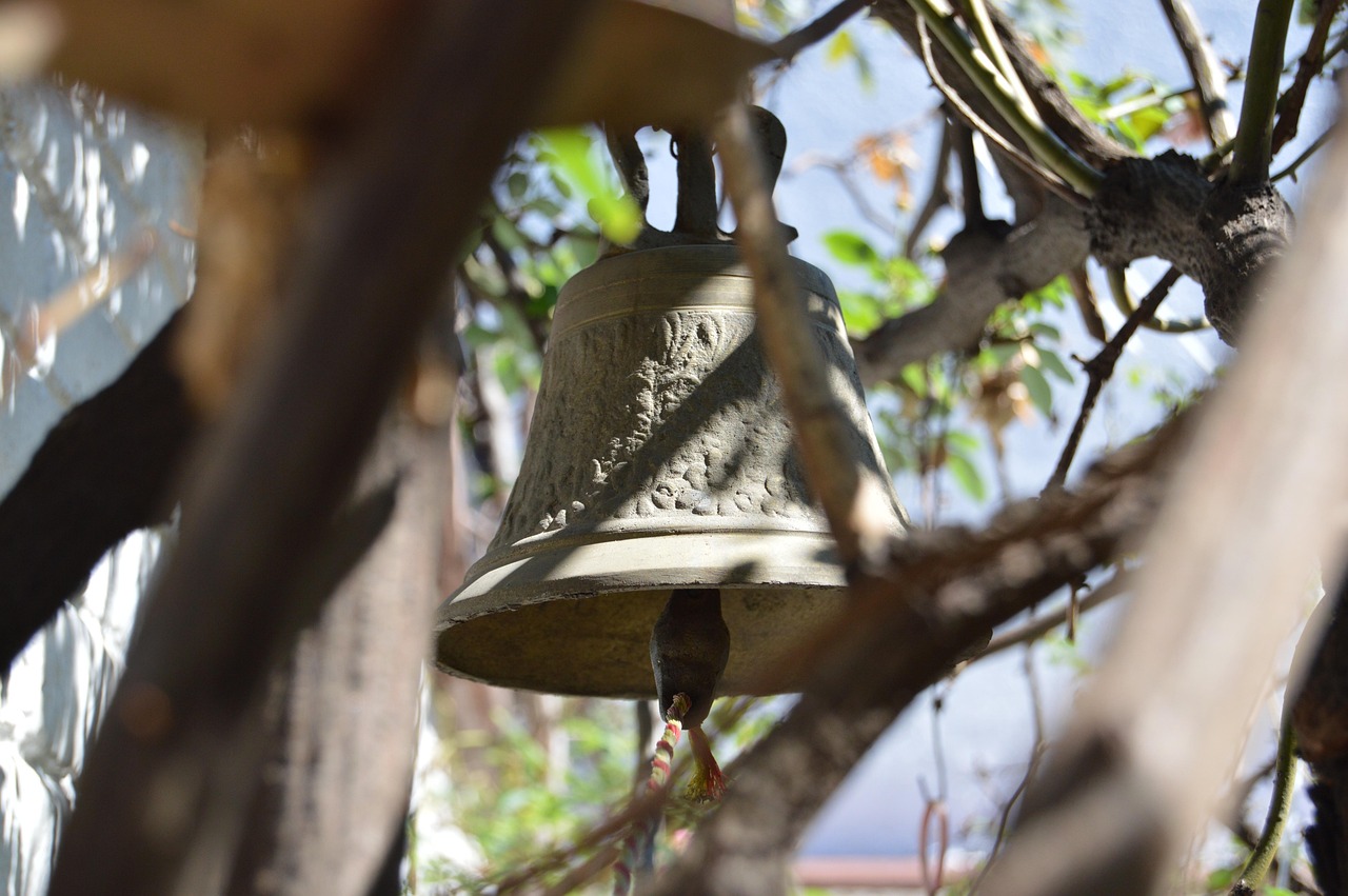 甲醇市场动态趋势分析与展望，最新动态及未来展望