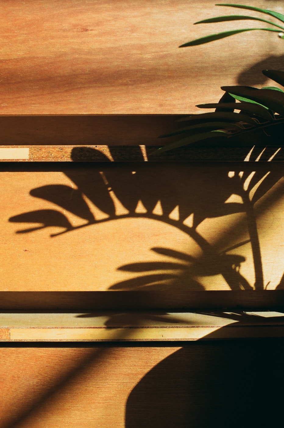 韩国犯罪悬疑电影，深度探索与解析