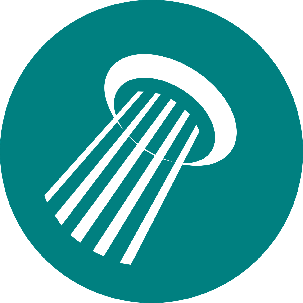 利津招聘资讯，探索职业发展的新天地