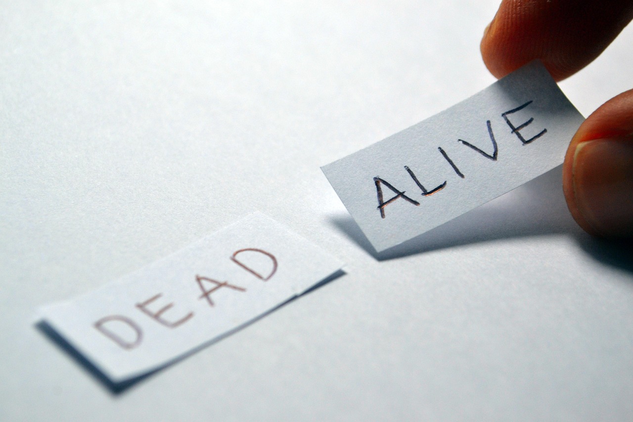 最新网名a，探索网络身份的魅力与选择之旅