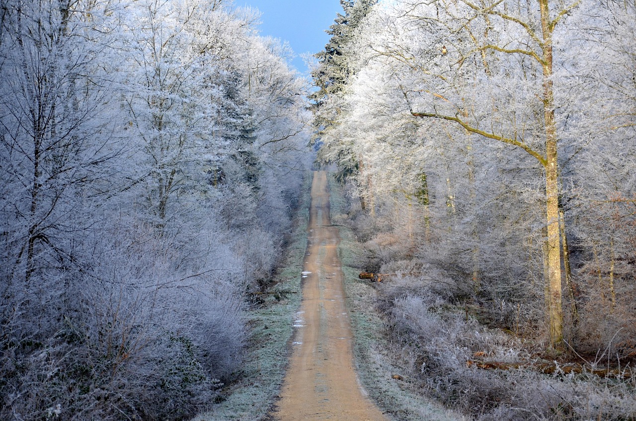 最新诗意集锦，探索美的无限可能