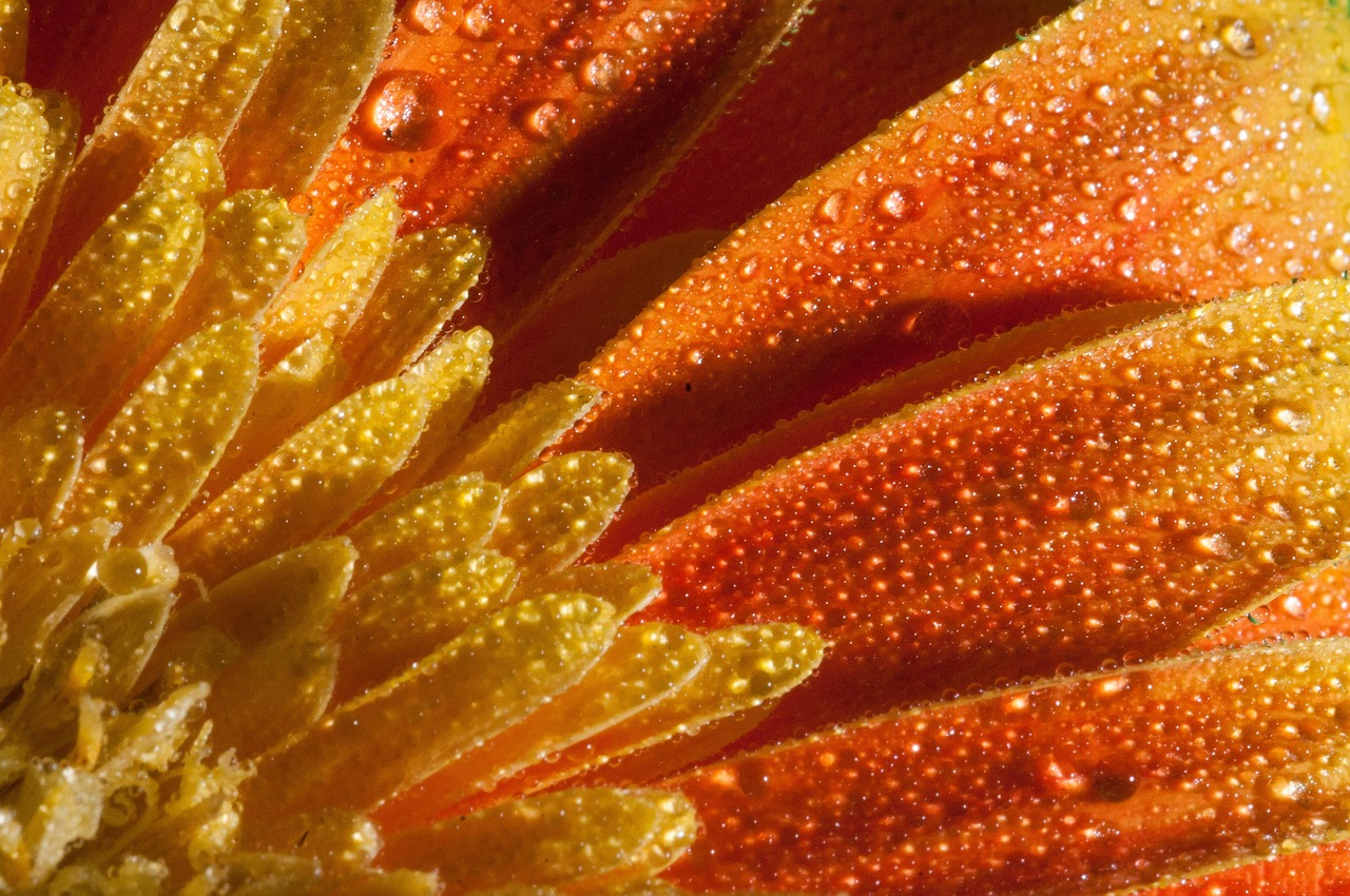 济宁市最新资讯概览，时事动态一网打尽