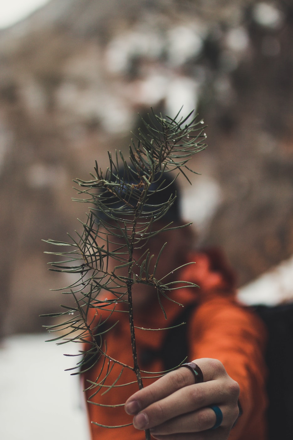 纺织行业创新、绿色与智能化趋势引领未来发展动态