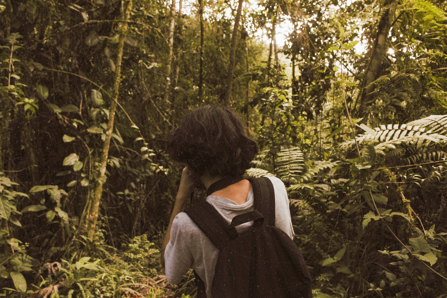 电视剧爱情片的魅力与影响力探究