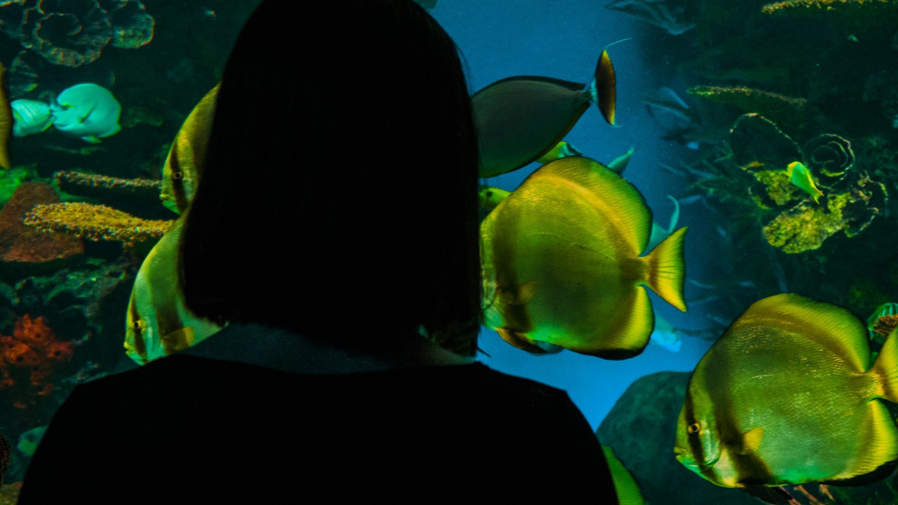 少女动漫世界，精彩纷呈的探险之旅