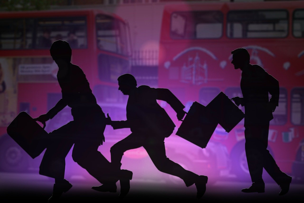 力与美的融合，武术比赛的震撼观后感