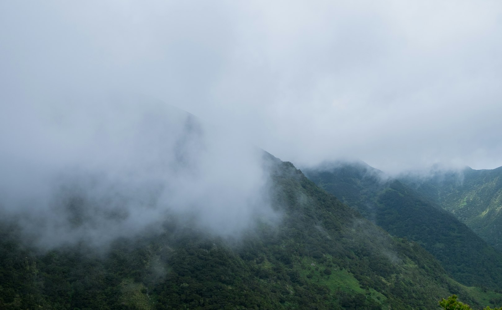 林峰最新动态揭秘，揭开明星的神秘面纱