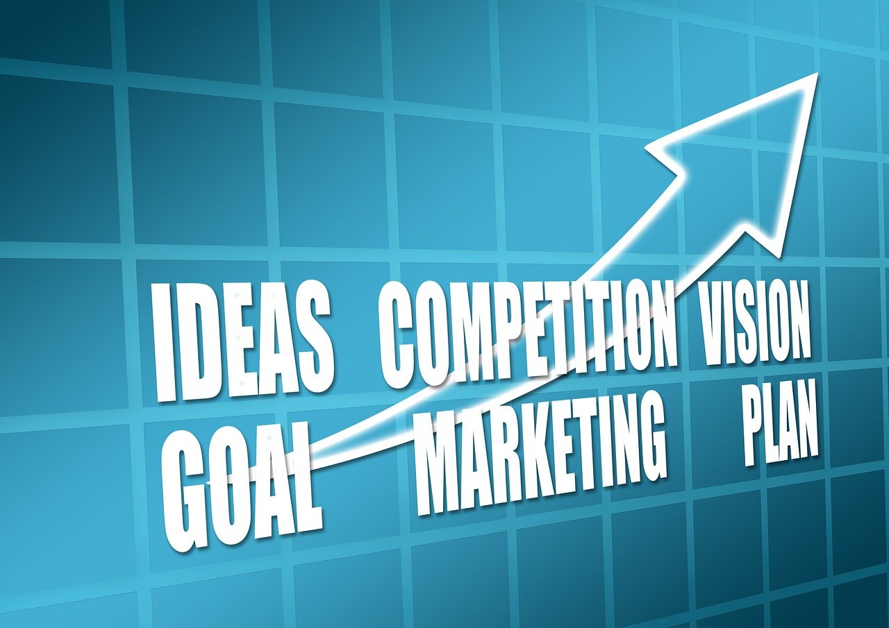 最新上市股票一览，市场新力量涌现的概览