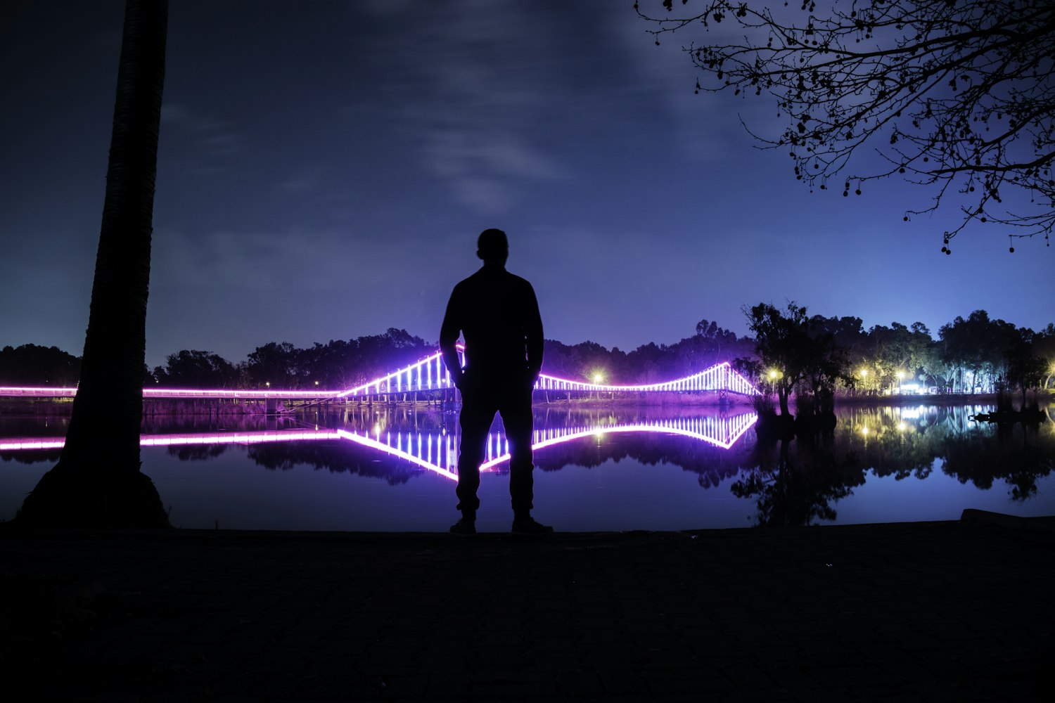 探索未来金融新模式，最新果贷黄发展动态及趋势分析