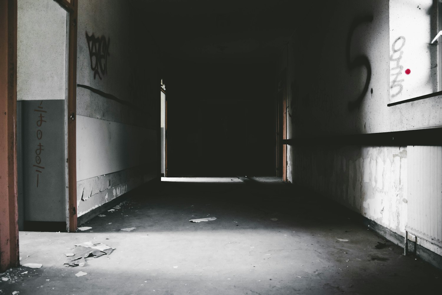 最新丧尸片趋势，生存与恐惧的极致探索