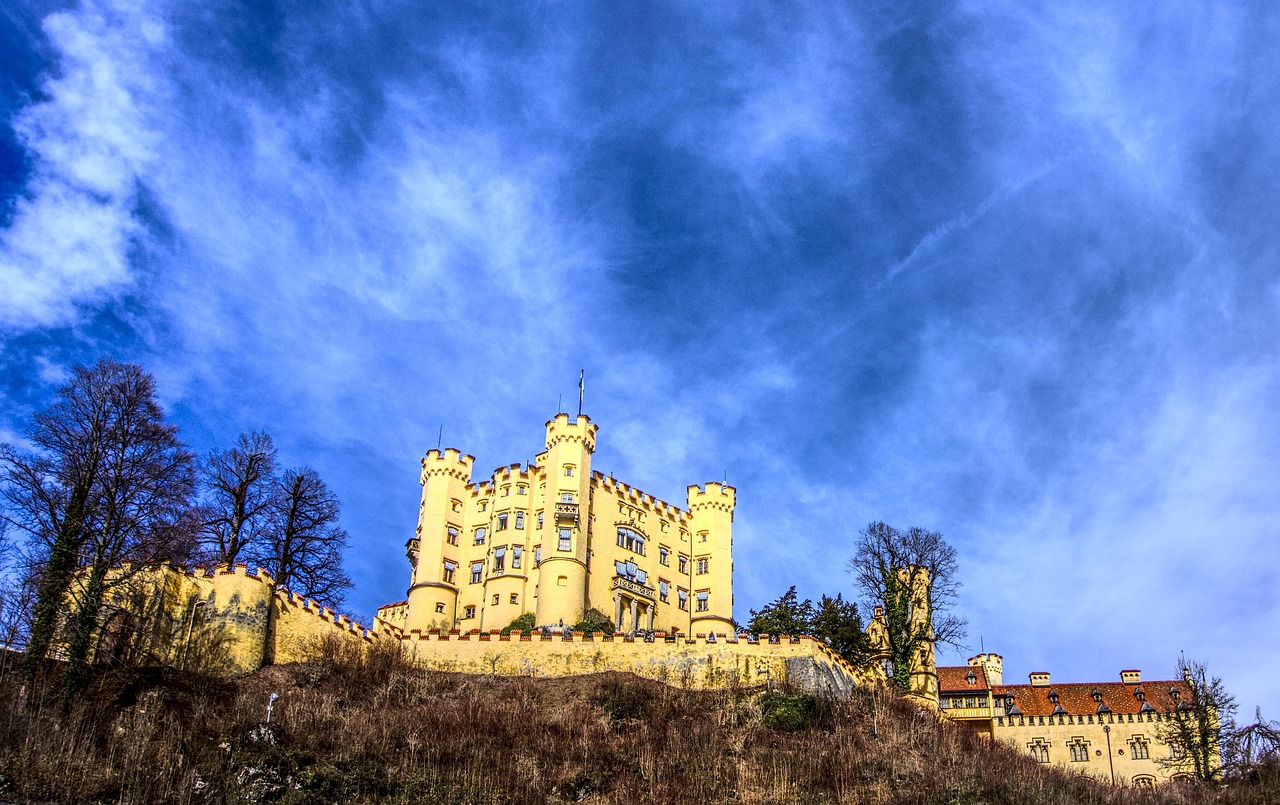 五号台风最新动态，全面解析台风影响及应对措施