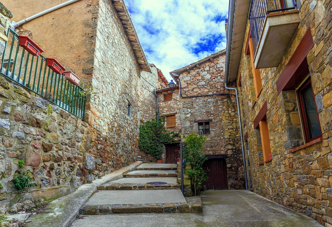 山东金泰最新资讯更新，发展动态与展望