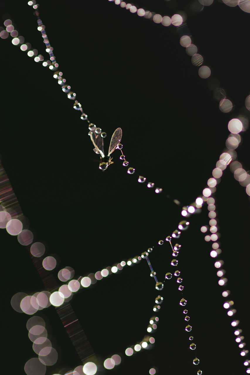 最新资讯集锦，科技、社会与经济多维透视深度解析