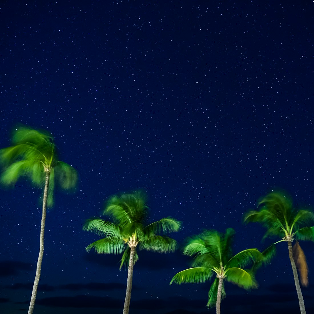 探索宝可梦世界的奇幻之旅，动漫神奇宝贝的魅力展现