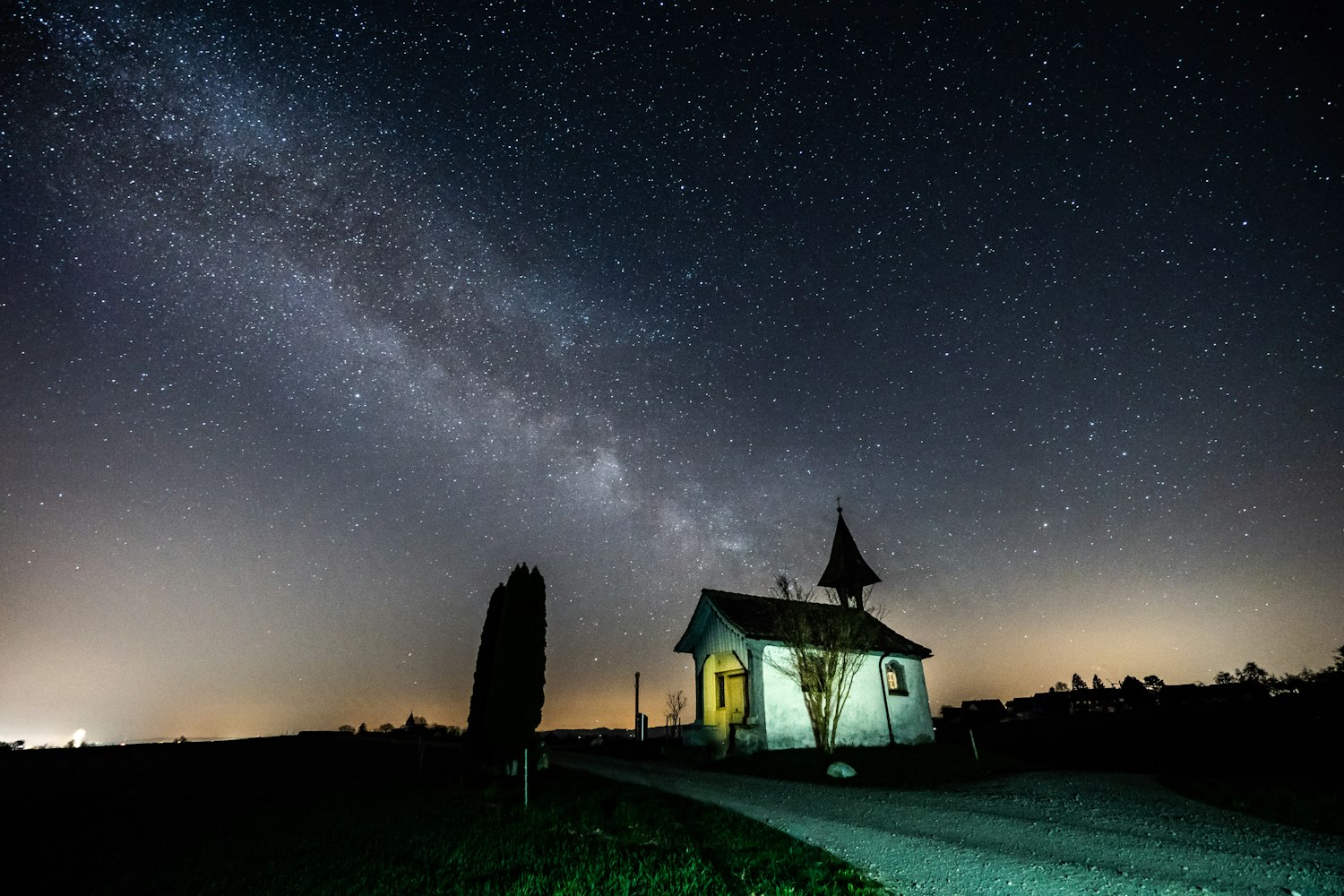 狮子明星，力量与荣耀的象征，闪耀星辰之路