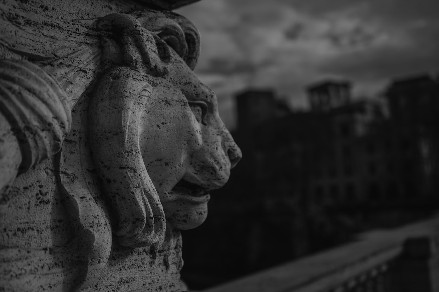 阿拉贡演员的魅力之旅，从银幕到现实之路