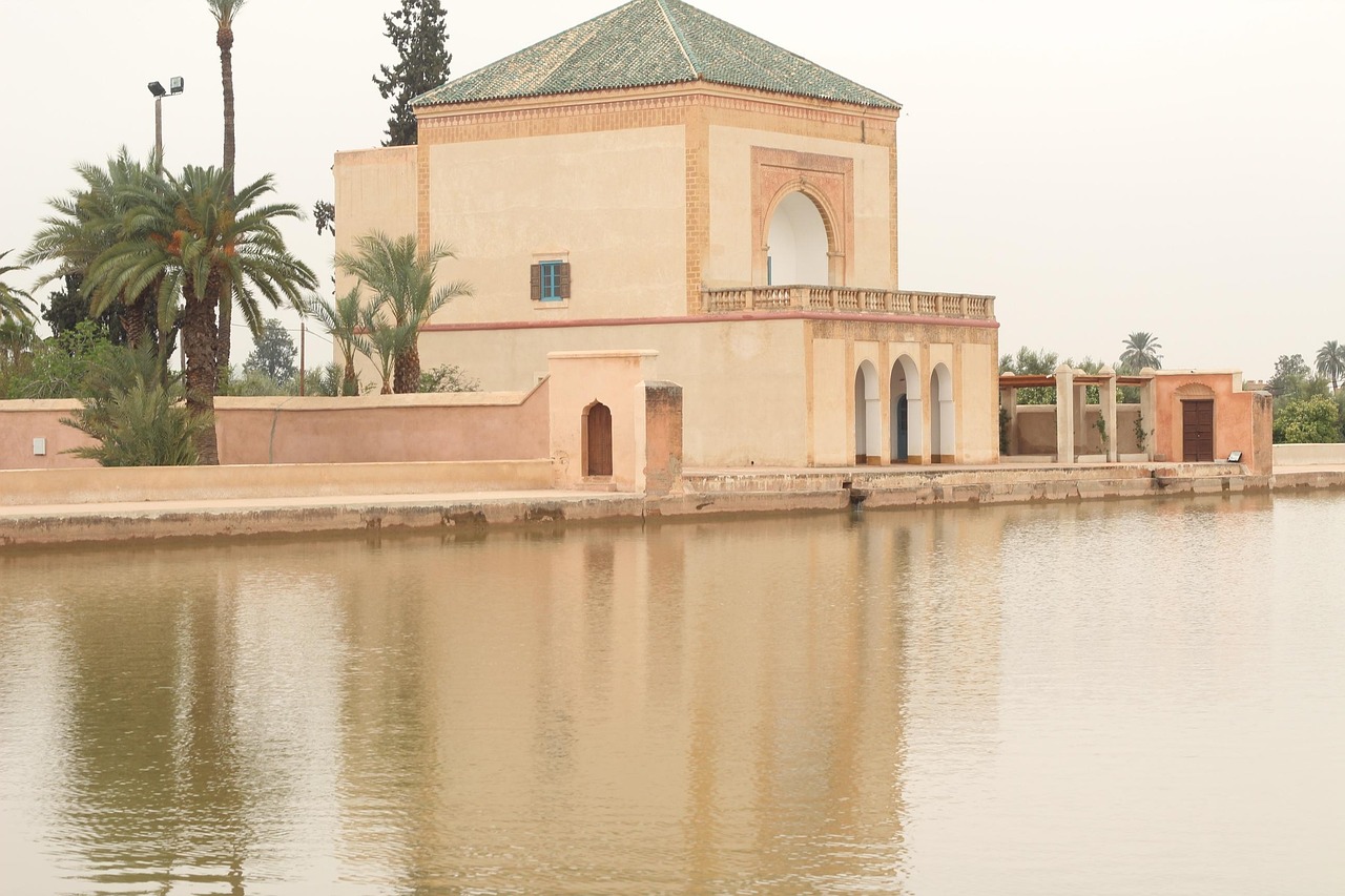 厦门西雅图最新动态，多维视角下的城市发展