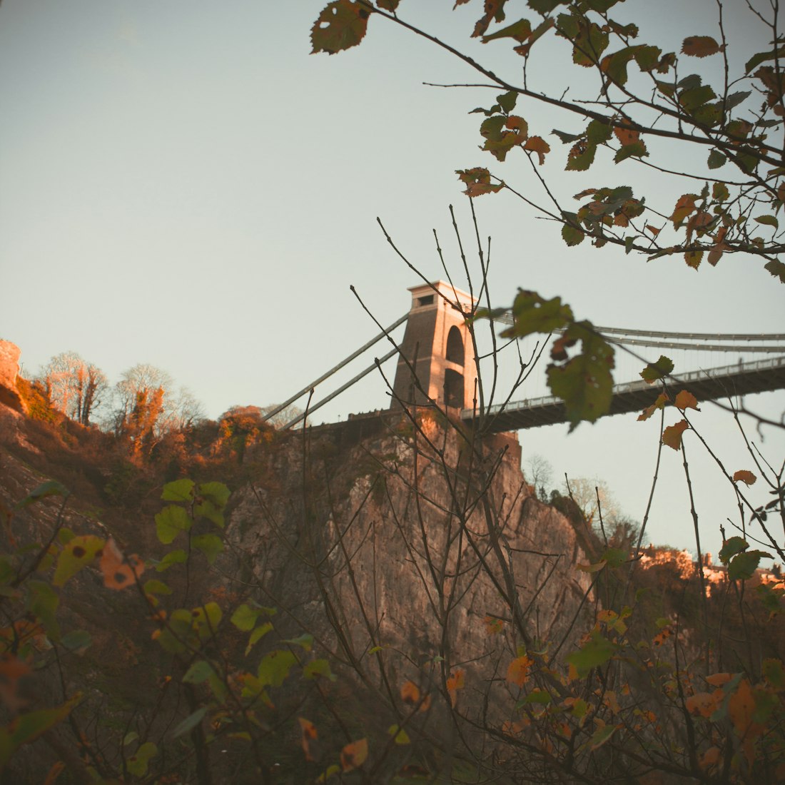 聚焦600252股票动态,实时行情分析与深度聚焦