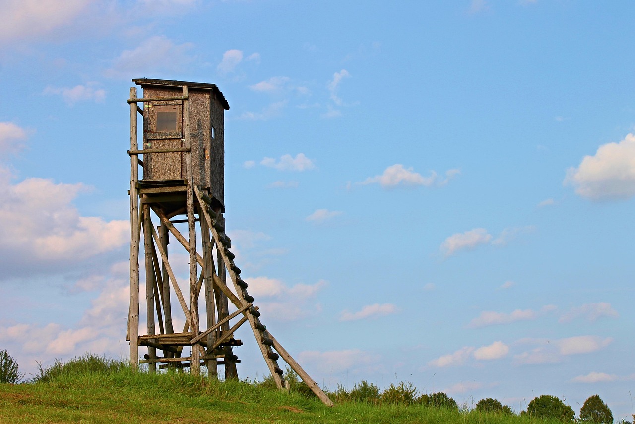 中国猎人最新更新，探索新时代狩猎文化的演变与挑战与应对之道